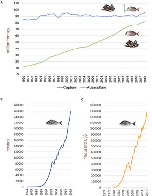 Vibriosis Outbreaks in Aquaculture: Addressing Environmental and Public Health Concerns and Preventive Therapies Using Gilthead Seabream Farming as a Model System